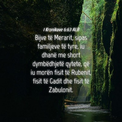 Picture 04 - 1 Kronikave 6:63 ALB - Bijve të Merarit, sipas familjeve të tyre, iu - Bible Verse Picture