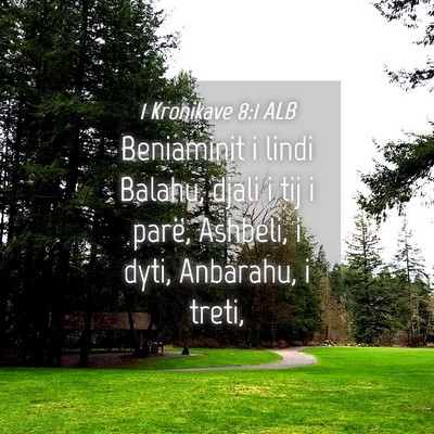 Picture 04 - 1 Kronikave 8:1 ALB - Beniaminit i lindi Balahu, djali i tij i parë, - Bible Verse Picture