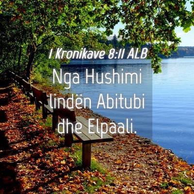 Picture 04 - 1 Kronikave 8:11 ALB - Nga Hushimi lindën Abitubi dhe - Bible Verse Picture