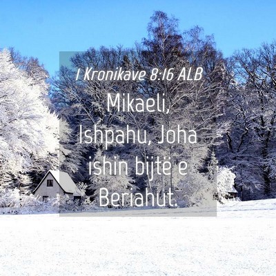 Picture 04 - 1 Kronikave 8:16 ALB - Mikaeli, Ishpahu, Joha ishin bijtë e - Bible Verse Picture