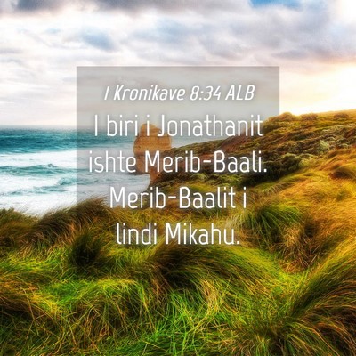 Picture 04 - 1 Kronikave 8:34 ALB - I biri i Jonathanit ishte Merib-Baali. - Bible Verse Picture