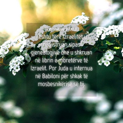 Picture 04 - 1 Kronikave 9:1 ALB - Kështu tërë Izraelitët u regjistruan sipas - Bible Verse Picture