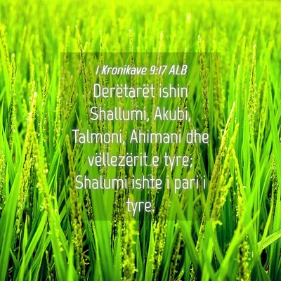 Picture 04 - 1 Kronikave 9:17 ALB - Derëtarët ishin Shallumi, Akubi, Talmoni, - Bible Verse Picture