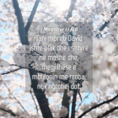 Picture 04 - 1 Mbretërve 1:1 ALB - Tani mbreti David ishte plak dhe i shtyrë në - Bible Verse Picture