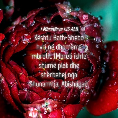 Picture 04 - 1 Mbretërve 1:15 ALB - Kështu Bath-Sheba hyri në dhomën e mbretit. - Bible Verse Picture