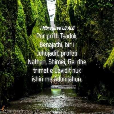 Picture 04 - 1 Mbretërve 1:8 ALB - Por prifti Tsadok, Benajathi, bir i Jehojadit, - Bible Verse Picture