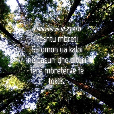 Picture 04 - 1 Mbretërve 10:23 ALB - Kështu mbreti Salomon ua kaloi në pasuri dhe - Bible Verse Picture
