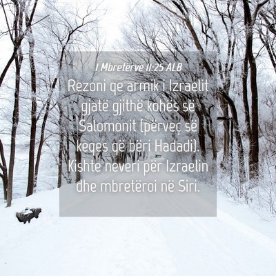 Picture 04 - 1 Mbretërve 11:25 ALB - Rezoni qe armik i Izraelit gjatë gjithë kohës - Bible Verse Picture