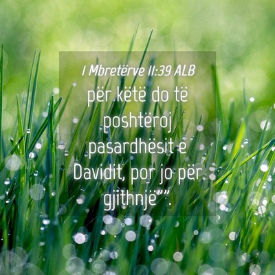 Picture 04 - 1 Mbretërve 11:39 ALB - për këtë do të poshtëroj pasardhësit e - Bible Verse Picture