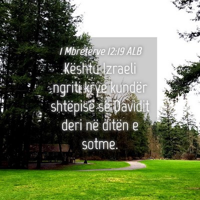 Picture 04 - 1 Mbretërve 12:19 ALB - Kështu Izraeli ngriti krye kundër shtëpisë - Bible Verse Picture