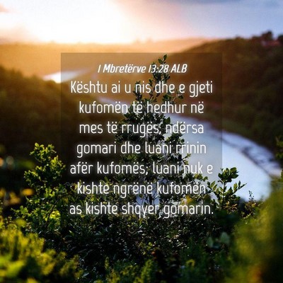 Picture 04 - 1 Mbretërve 13:28 ALB - Kështu ai u nis dhe e gjeti kufomën të hedhur - Bible Verse Picture