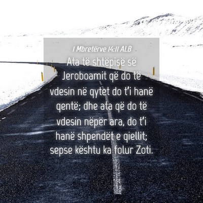 Picture 04 - 1 Mbretërve 14:11 ALB - Ata të shtëpisë së Jeroboamit që do të - Bible Verse Picture