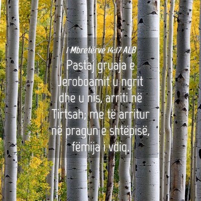Picture 04 - 1 Mbretërve 14:17 ALB - Pastaj gruaja e Jeroboamit u ngrit dhe u nis, - Bible Verse Picture