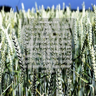 Picture 04 - 1 Mbretërve 16:7 ALB - Përveç kësaj fjala e Zotit iu drejtua me anë - Bible Verse Picture