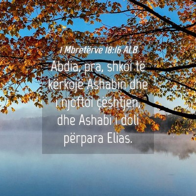 Picture 04 - 1 Mbretërve 18:16 ALB - Abdia, pra, shkoi të kërkojë Ashabin dhe i - Bible Verse Picture