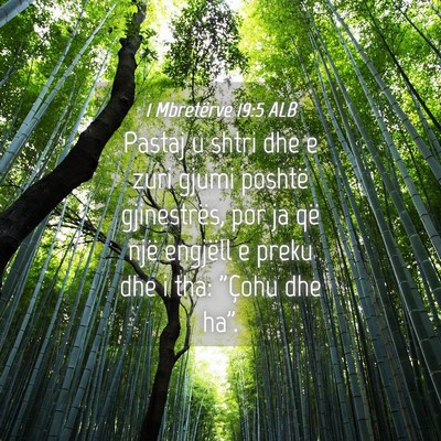 Picture 04 - 1 Mbretërve 19:5 ALB - Pastaj u shtri dhe e zuri gjumi poshtë - Bible Verse Picture
