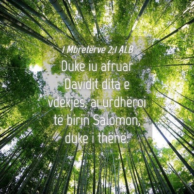 Picture 04 - 1 Mbretërve 2:1 ALB - Duke iu afruar Davidit dita e vdekjes, ai - Bible Verse Picture
