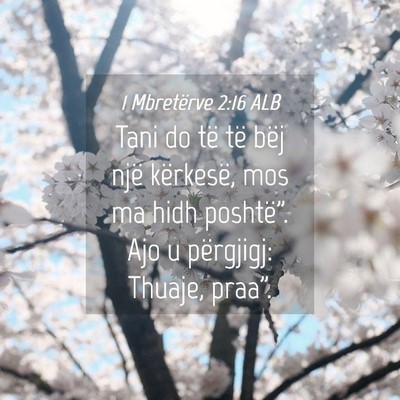 Picture 04 - 1 Mbretërve 2:16 ALB - Tani do të të bëj një kërkesë, mos ma hidh - Bible Verse Picture
