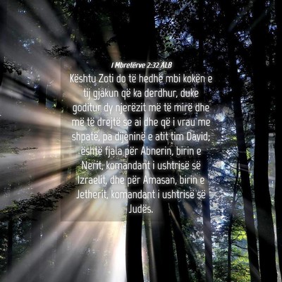 Picture 04 - 1 Mbretërve 2:32 ALB - Kështu Zoti do të hedhë mbi kokën e tij - Bible Verse Picture