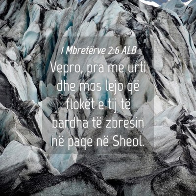 Picture 04 - 1 Mbretërve 2:6 ALB - Vepro, pra me urti dhe mos lejo që flokët e tij - Bible Verse Picture