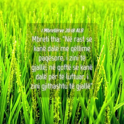Picture 04 - 1 Mbretërve 20:18 ALB - Mbreti tha: 