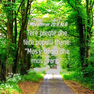 Picture 04 - 1 Mbretërve 20:8 ALB - Tërë pleqtë dhe tërë populli thanë: 