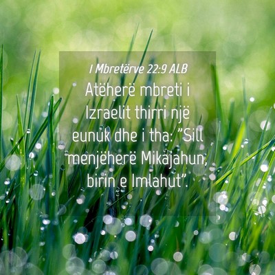 Picture 04 - 1 Mbretërve 22:9 ALB - Atëherë mbreti i Izraelit thirri një eunuk dhe - Bible Verse Picture