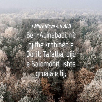 Picture 04 - 1 Mbretërve 4:11 ALB - Ben-Abinabadi, në gjithë krahinën e Dorit; - Bible Verse Picture