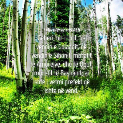 Picture 04 - 1 Mbretërve 4:19 ALB - Geberi, bir i Urit, në vendin e Galaadit, në - Bible Verse Picture