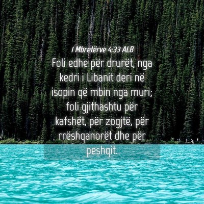 Picture 04 - 1 Mbretërve 4:33 ALB - Foli edhe për drurët, nga kedri i Libanit deri - Bible Verse Picture