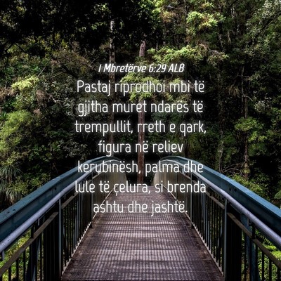 Picture 04 - 1 Mbretërve 6:29 ALB - Pastaj riprodhoi mbi të gjitha muret ndarës të - Bible Verse Picture