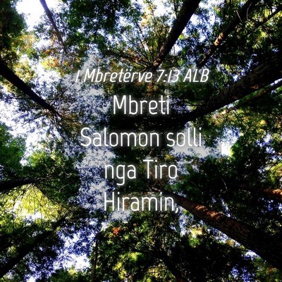 Picture 04 - 1 Mbretërve 7:13 ALB - Mbreti Salomon solli nga Tiro - Bible Verse Picture