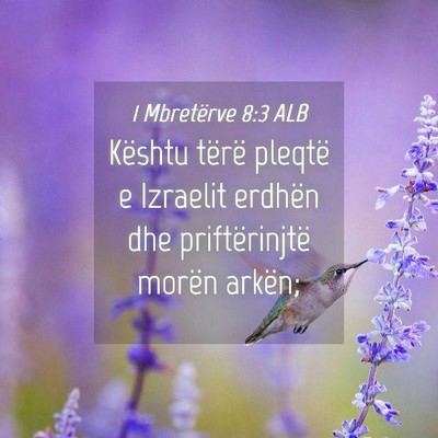 Picture 04 - 1 Mbretërve 8:3 ALB - Kështu tërë pleqtë e Izraelit erdhën dhe - Bible Verse Picture