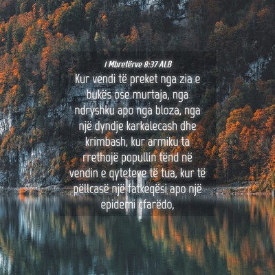 Picture 04 - 1 Mbretërve 8:37 ALB - Kur vendi të preket nga zia e bukës ose - Bible Verse Picture