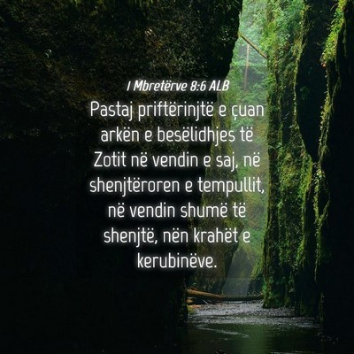 Picture 04 - 1 Mbretërve 8:6 ALB - Pastaj priftërinjtë e çuan arkën e - Bible Verse Picture