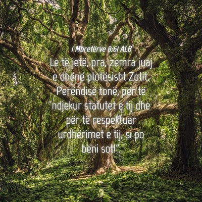 Picture 04 - 1 Mbretërve 8:61 ALB - Le të jetë, pra, zemra juaj e dhënë - Bible Verse Picture