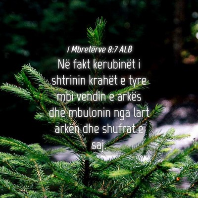 Picture 04 - 1 Mbretërve 8:7 ALB - Në fakt kerubinët i shtrinin krahët e tyre mbi - Bible Verse Picture