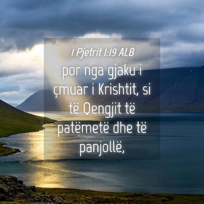 Picture 04 - 1 Pjetrit 1:19 ALB - por nga gjaku i çmuar i Krishtit, si të Qengjit - Bible Verse Picture