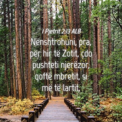 Picture 04 - 1 Pjetrit 2:13 ALB - Nënshtrohuni, pra, për hir të Zotit, çdo - Bible Verse Picture