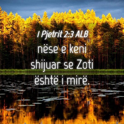 Picture 04 - 1 Pjetrit 2:3 ALB - nëse e keni shijuar se Zoti është i - Bible Verse Picture