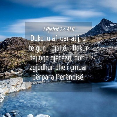 Picture 04 - 1 Pjetrit 2:4 ALB - Duke iu afruar atij, si te guri i gjallë, i - Bible Verse Picture