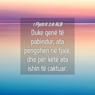 Picture 04 - 1 Pjetrit 2:8 ALB - Duke qenë të pabindur, ata pengohen në fjalë, - Bible Verse Picture