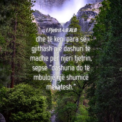 Picture 04 - 1 Pjetrit 4:8 ALB - dhe të keni para së gjithash një dashuri të - Bible Verse Picture