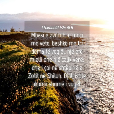 Picture 04 - 1 Samuelit 1:24 ALB - Mbasi e zvordhi e mori me vete, bashkë me tri - Bible Verse Picture