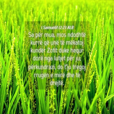 Picture 04 - 1 Samuelit 12:23 ALB - Sa për mua, mos ndodhtë kurrë që unë të - Bible Verse Picture