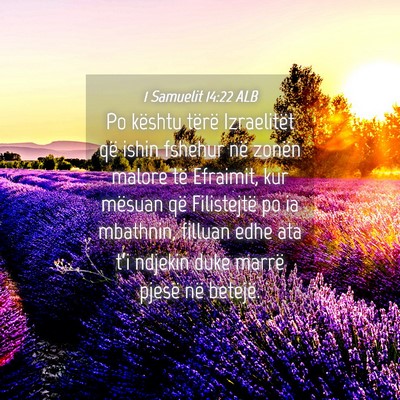 Picture 04 - 1 Samuelit 14:22 ALB - Po kështu tërë Izraelitët që ishin fshehur - Bible Verse Picture