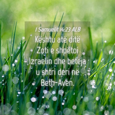 Picture 04 - 1 Samuelit 14:23 ALB - Kështu atë ditë Zoti e shpëtoi Izraelin dhe - Bible Verse Picture