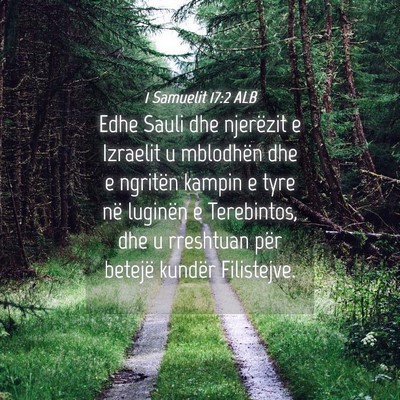 Picture 04 - 1 Samuelit 17:2 ALB - Edhe Sauli dhe njerëzit e Izraelit u mblodhën - Bible Verse Picture