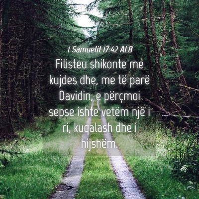 Picture 04 - 1 Samuelit 17:42 ALB - Filisteu shikonte me kujdes dhe, me të parë - Bible Verse Picture