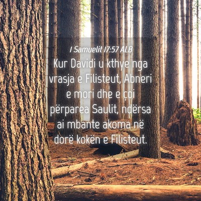 Picture 04 - 1 Samuelit 17:57 ALB - Kur Davidi u kthye nga vrasja e Filisteut, Abneri - Bible Verse Picture